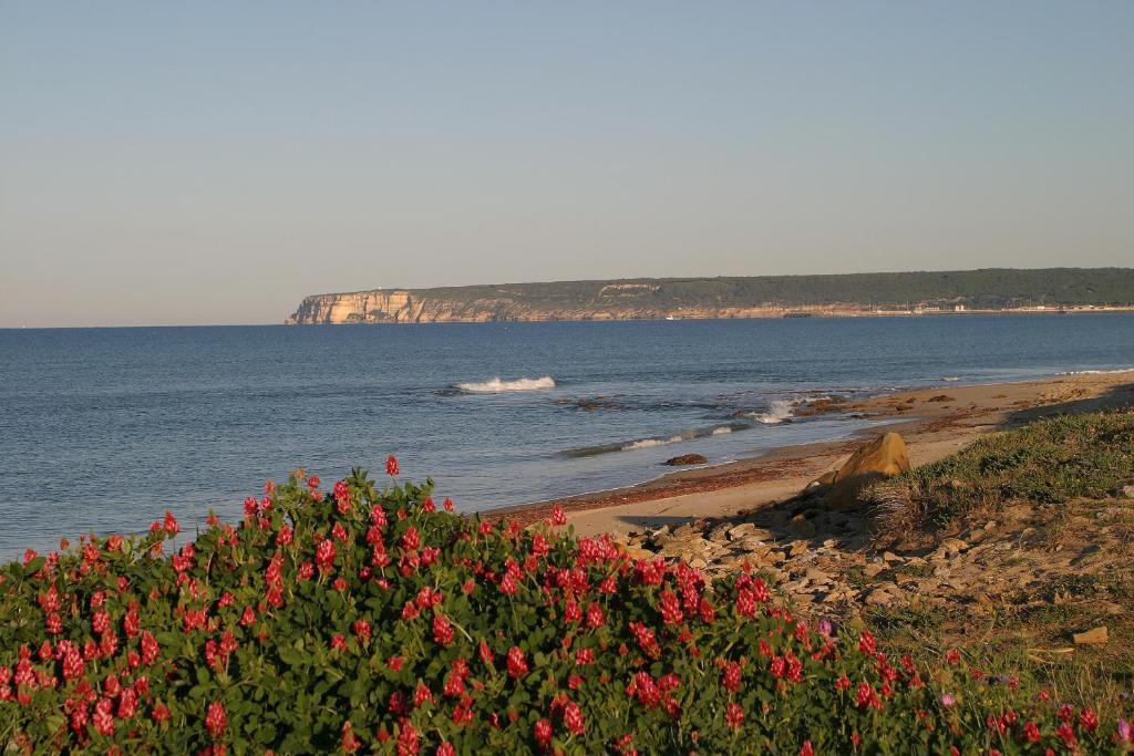 Finca El Abuelo Barbate Pokój zdjęcie